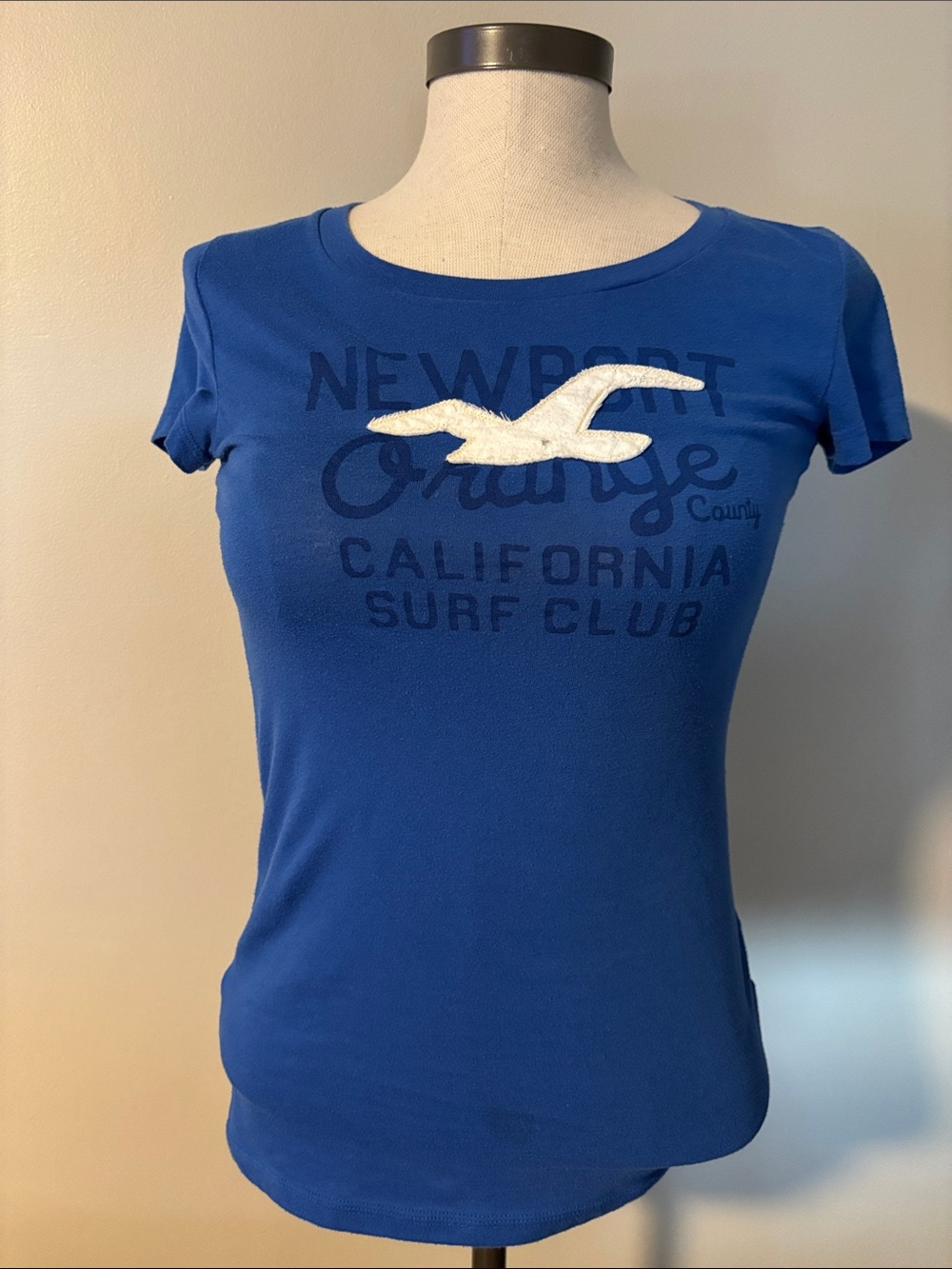 Hollister Cobalt Blue Seagull Graphic Tee